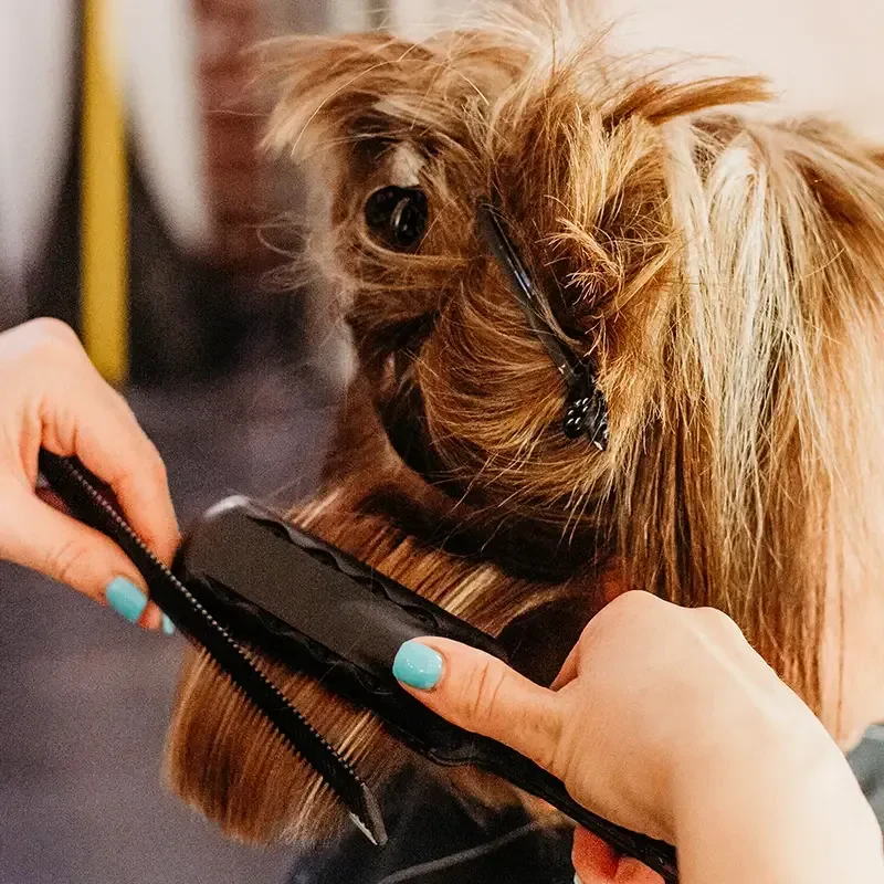 Brazillian Blowout Closeup